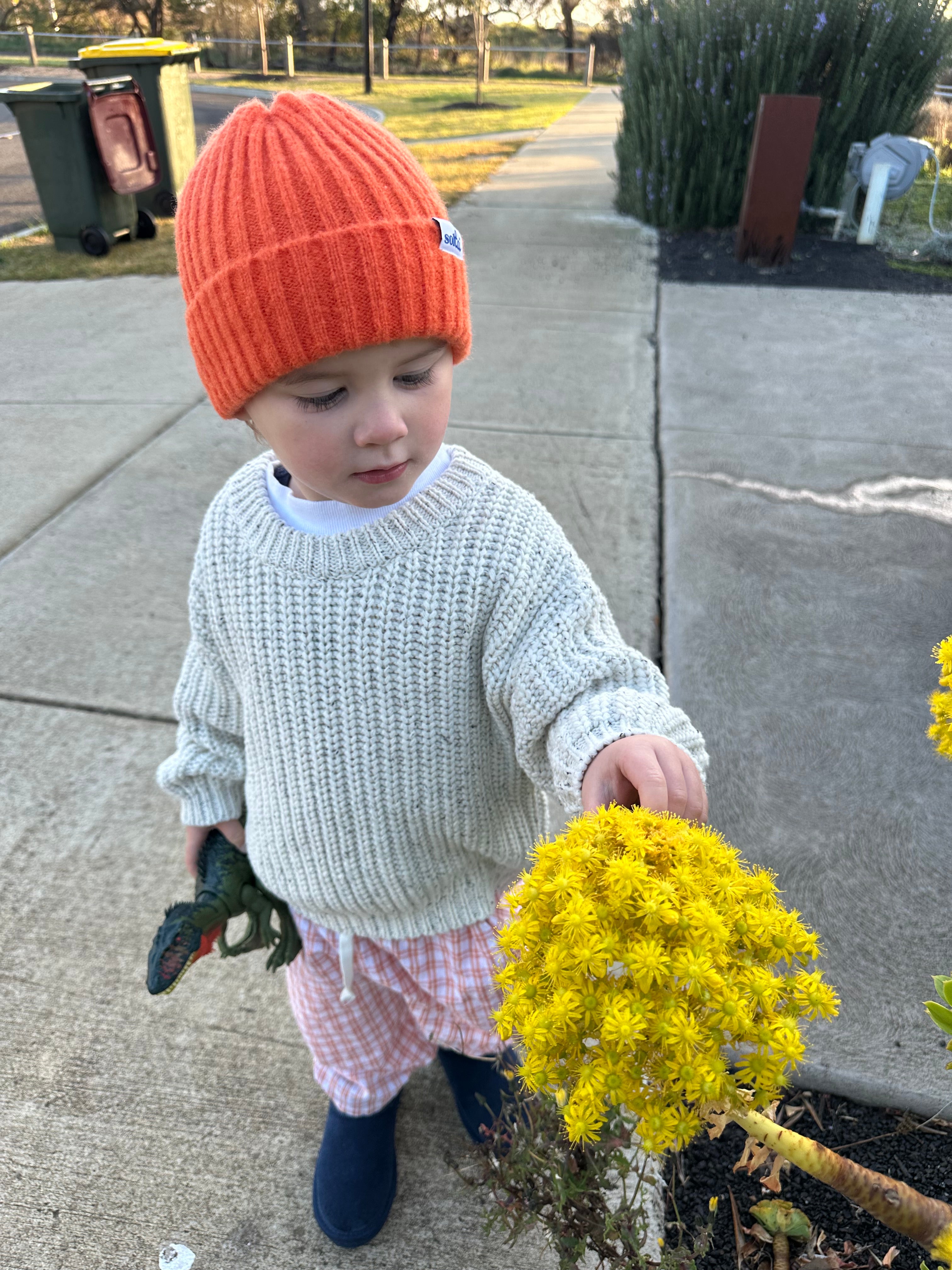 toddler wearing a bright orange beanie and beige knit sweater holding yellow flowers on a sidewalk, when orange tartan wide leg pants