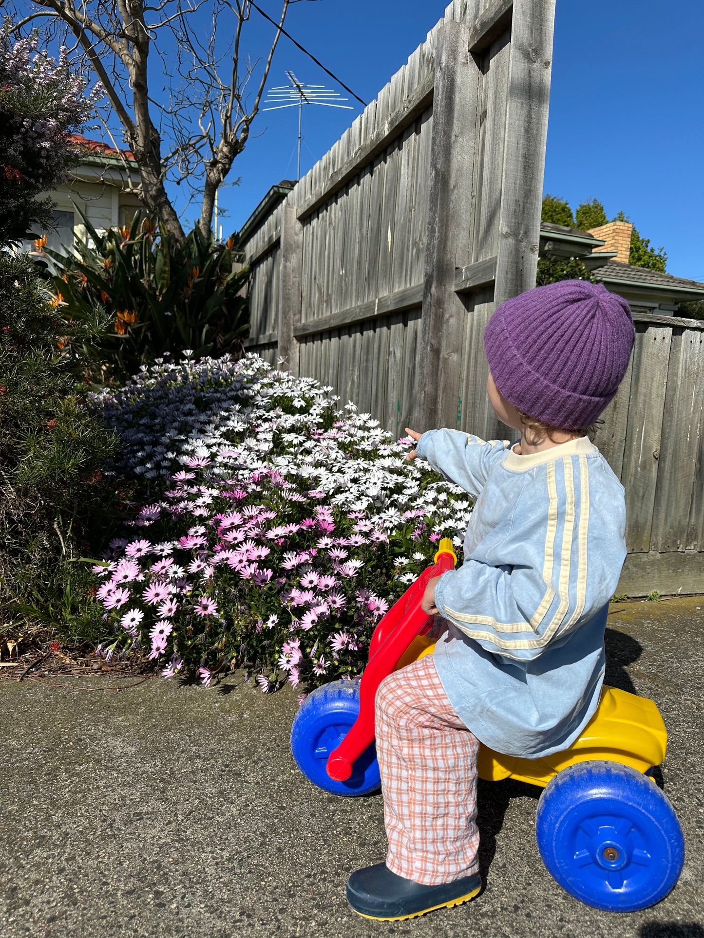 Craving Summer Long Sleeve