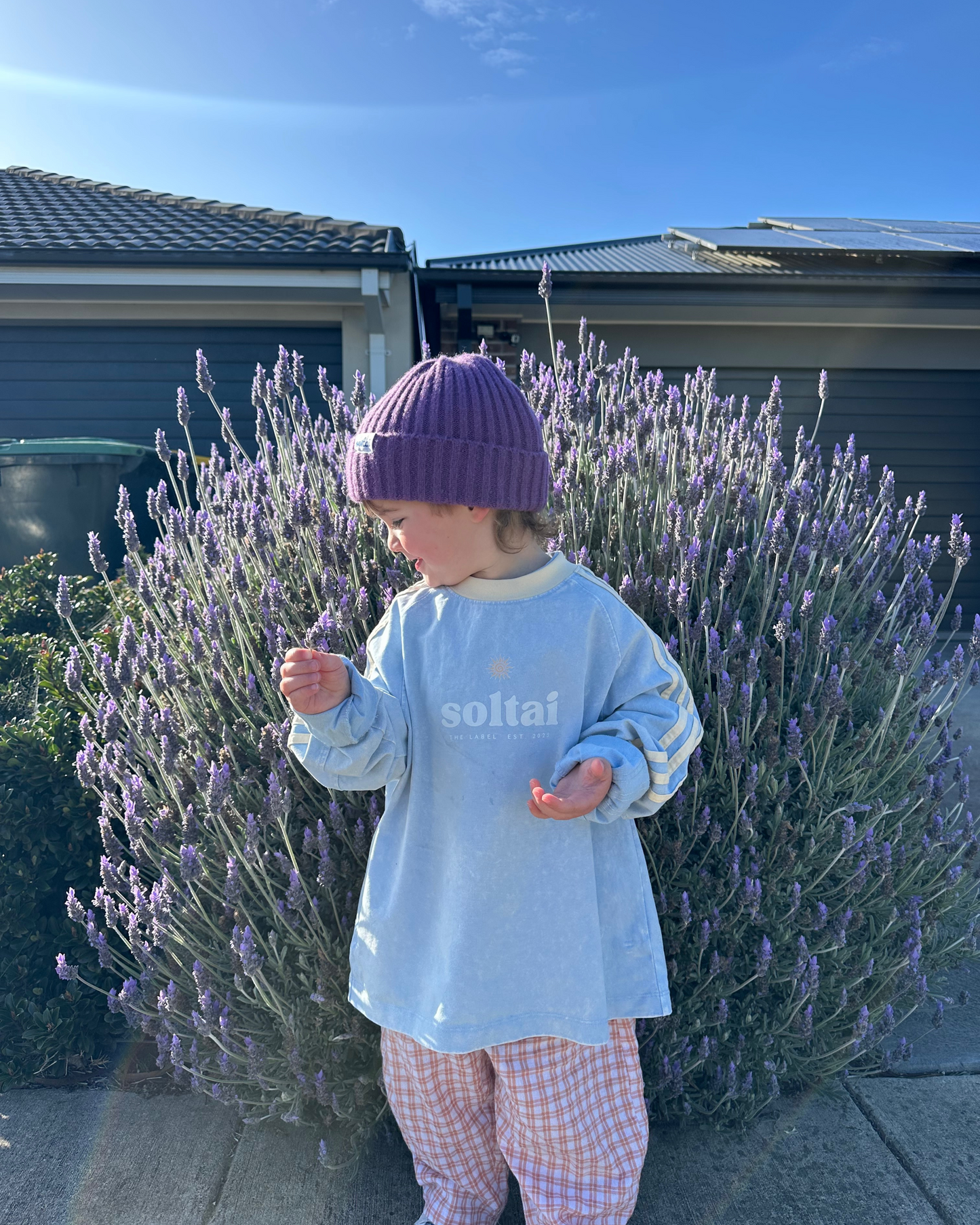 Child wearing a light blue shirt with 'solar' text and a purple beanie standing in front of lavender plants.